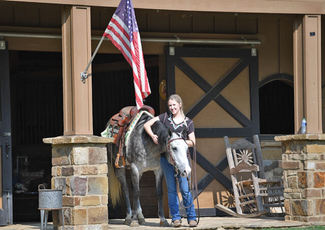 022-Dakota-AQHA-Dapple-Gray-Grey-Quarter-Quarter-Horse-Gelding-Family-english-western-for-sale