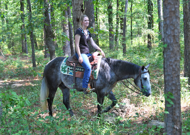 027-Dakota-AQHA-Dapple-Gray-Grey-Quarter-Quarter-Horse-Gelding-Family-english-western-for-sale