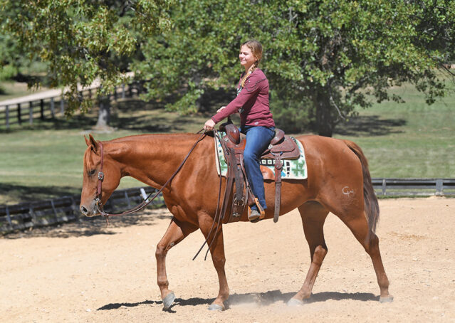 008-Chex-Chestnut-AQHA-Reiner-Nu-Checks-To-Cash-Wimpys-Little-Step-Family-Ranch-Trails-Kids-Beginner-Husband-Horse-For-Sale