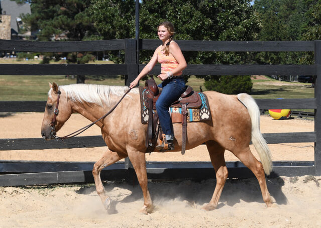 008-Colt-AQHA-Golden-Palomino-Gelding-Trails-Roping-Rope-Head-Heading-Heeling-horse-for-sale