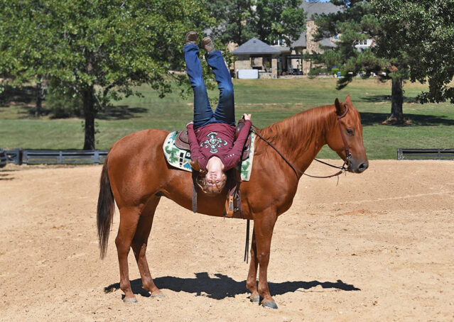010-Chex-Chestnut-AQHA-Reiner-Nu-Checks-To-Cash-Wimpys-Little-Step-Family-Ranch-Trails-Kids-Beginner-Husband-Horse-For-Sale