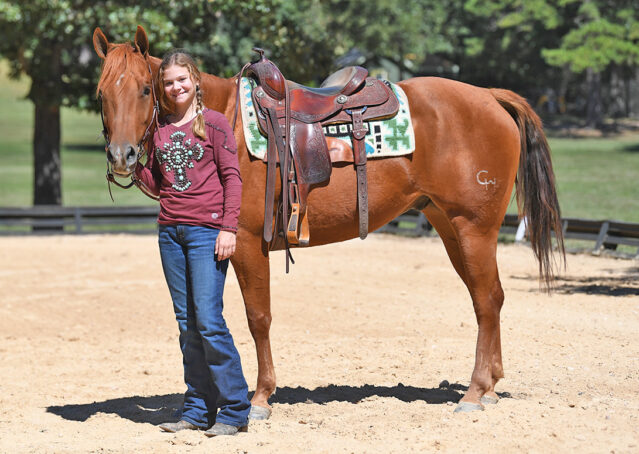 012-Chex-Chestnut-AQHA-Reiner-Nu-Checks-To-Cash-Wimpys-Little-Step-Family-Ranch-Trails-Kids-Beginner-Husband-Horse-For-Sale