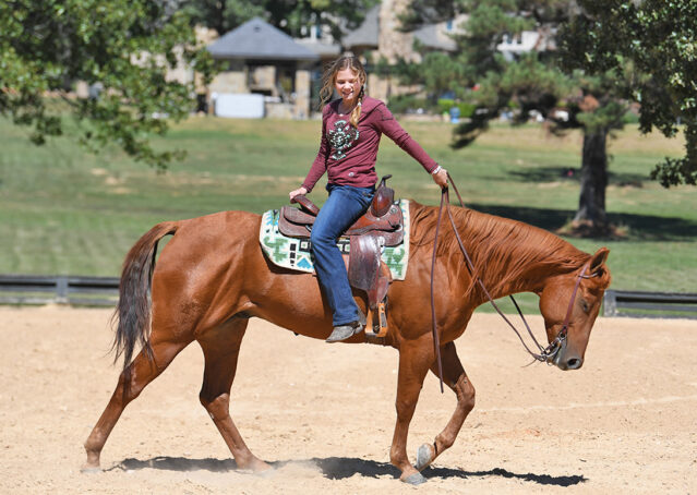 013-Chex-Chestnut-AQHA-Reiner-Nu-Checks-To-Cash-Wimpys-Little-Step-Family-Ranch-Trails-Kids-Beginner-Husband-Horse-For-Sale