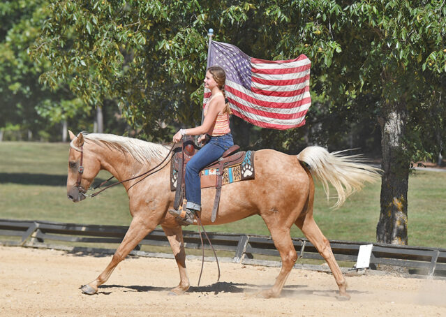 013-Colt-AQHA-Golden-Palomino-Gelding-Trails-Roping-Rope-Head-Heading-Heeling-horse-for-sale
