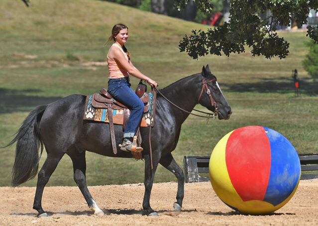 013-Kohl-Black-AQHA-Gelding-Family-Ranch-Trails-For-Sale