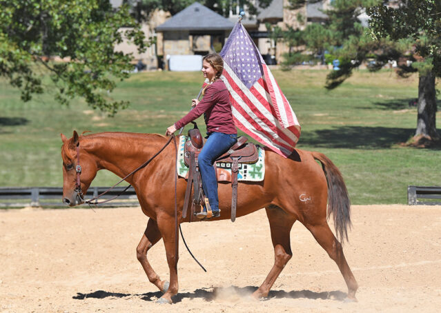 014-Chex-Chestnut-AQHA-Reiner-Nu-Checks-To-Cash-Wimpys-Little-Step-Family-Ranch-Trails-Kids-Beginner-Husband-Horse-For-Sale