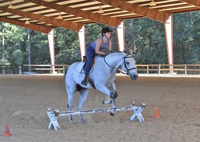 014-Perry-Gray-AQHA-Gelding-For-Sale-English-Western-Dressage-hunter-trails-beginner-california-colorado
