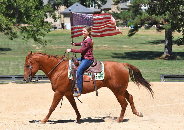 016-Chex-Chestnut-AQHA-Reiner-Nu-Checks-To-Cash-Wimpys-Little-Step-Family-Ranch-Trails-Kids-Beginner-Husband-Horse-For-Sale