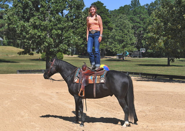 017-Kohl-Black-AQHA-Gelding-Family-Ranch-Trails-For-Sale