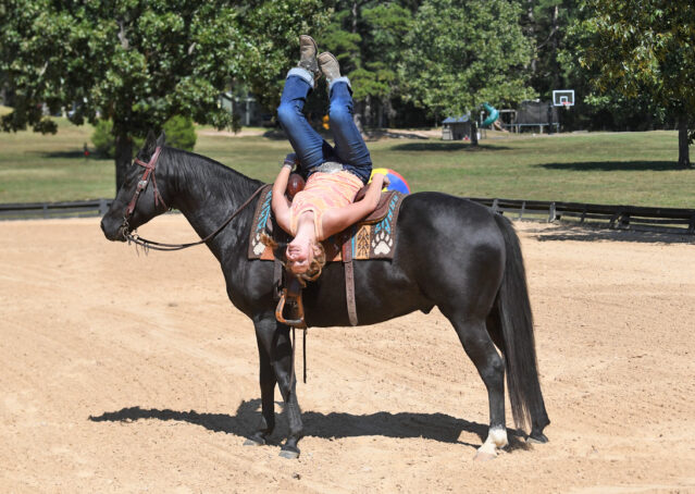 018-Kohl-Black-AQHA-Gelding-Family-Ranch-Trails-For-Sale