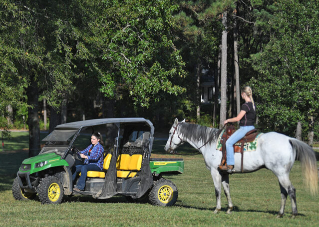 019-Perry-Gray-AQHA-Gelding-For-Sale-English-Western-Dressage-hunter-trails-beginner-california-colorado