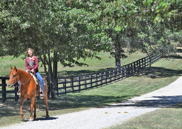 020-Chex-Chestnut-AQHA-Reiner-Nu-Checks-To-Cash-Wimpys-Little-Step-Family-Ranch-Trails-Kids-Beginner-Husband-Horse-For-Sale