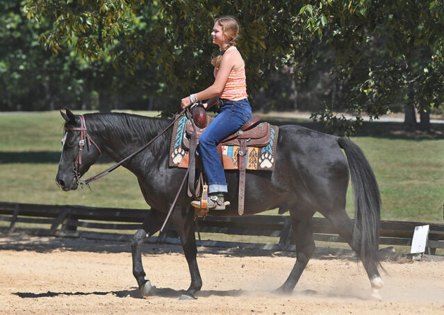021-Kohl-Black-AQHA-Gelding-Family-Ranch-Trails-For-Sale