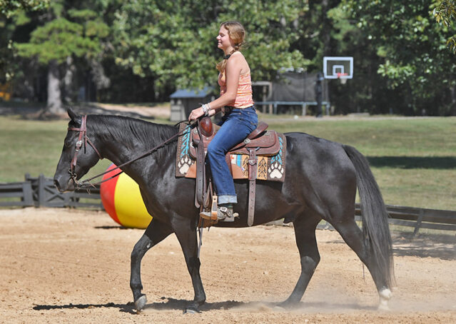 023-Kohl-Black-AQHA-Gelding-Family-Ranch-Trails-For-Sale