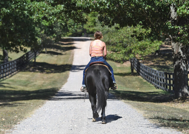 024-Kohl-Black-AQHA-Gelding-Family-Ranch-Trails-For-Sale