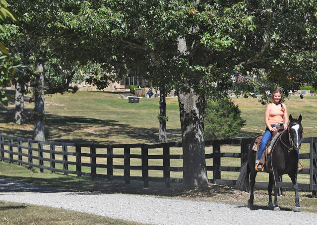 025-Kohl-Black-AQHA-Gelding-Family-Ranch-Trails-For-Sale
