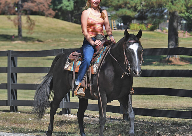 026-Kohl-Black-AQHA-Gelding-Family-Ranch-Trails-For-Sale