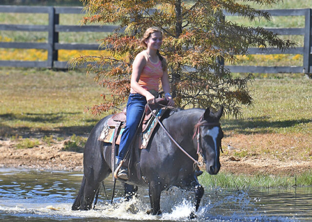 028-Kohl-Black-AQHA-Gelding-Family-Ranch-Trails-For-Sale