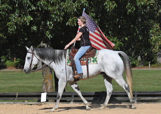 030-Perry-Gray-AQHA-Gelding-For-Sale-English-Western-Dressage-hunter-trails-beginner-california-colorado