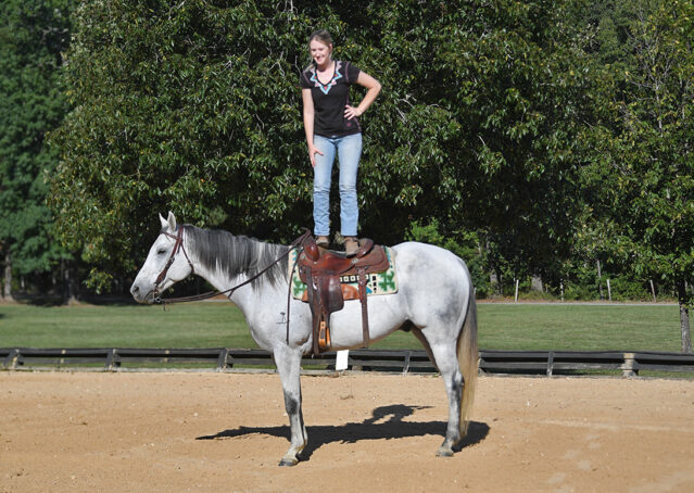 032-Perry-Gray-AQHA-Gelding-For-Sale-English-Western-Dressage-hunter-trails-beginner-california-colorado