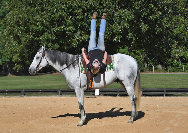 033-Perry-Gray-AQHA-Gelding-For-Sale-English-Western-Dressage-hunter-trails-beginner-california-colorado