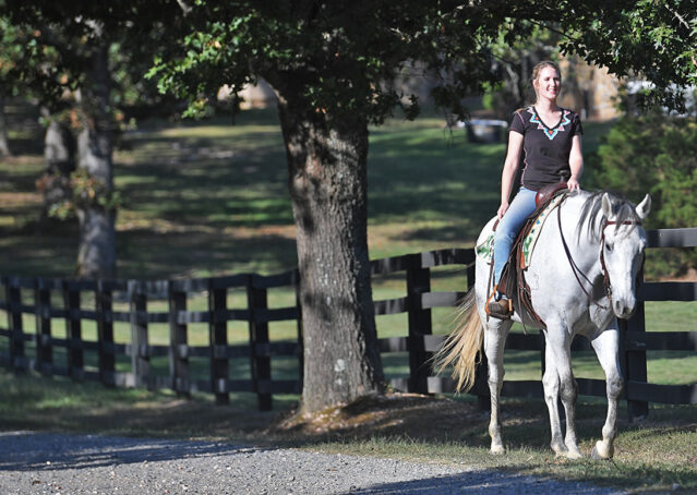 037-Perry-Gray-AQHA-Gelding-For-Sale-English-Western-Dressage-hunter-trails-beginner-california-colorado