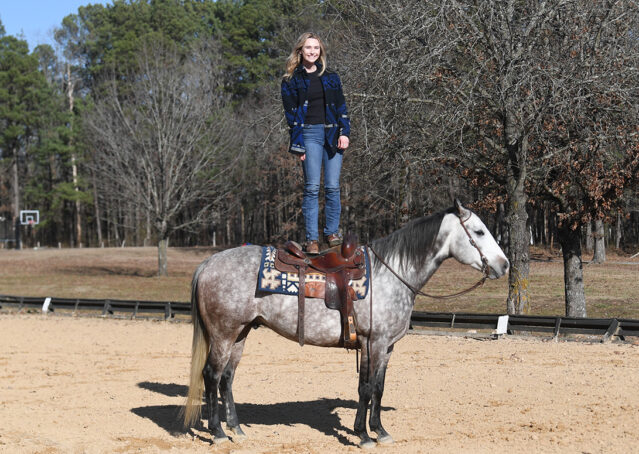 020-Curtis-Grey-Gray-AQHA-Quarter-Horse-Gelding-Rope-Roping-Gentle-Playgun-For-Sale