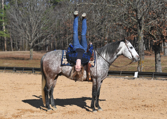 021-Curtis-Grey-Gray-AQHA-Quarter-Horse-Gelding-Rope-Roping-Gentle-Playgun-For-Sale