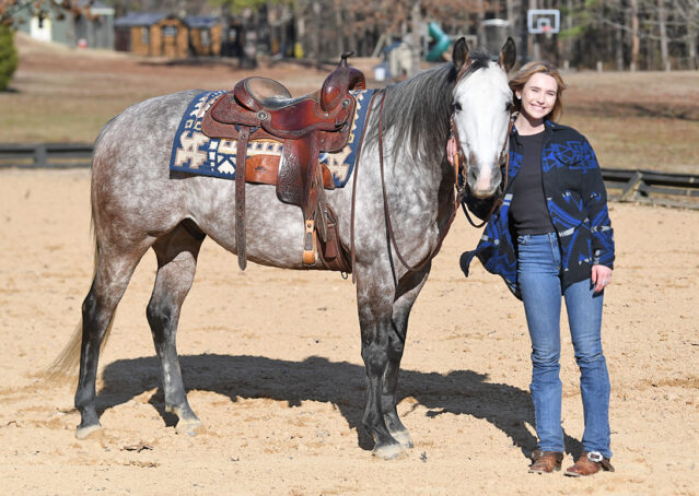 023-Curtis-Grey-Gray-AQHA-Quarter-Horse-Gelding-Rope-Roping-Gentle-Playgun-For-Sale