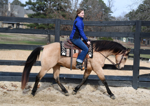 008-Flash-AQHA-Buckskin-Gelding-For-Sale