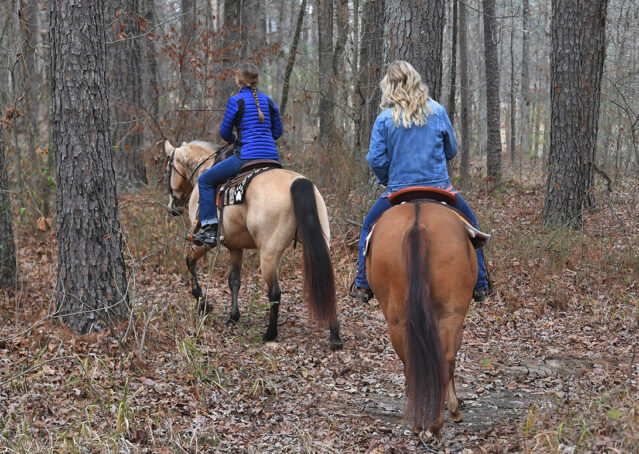 010-Flash-AQHA-Buckskin-Gelding-For-Sale