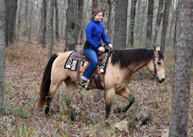 011-Flash-AQHA-Buckskin-Gelding-For-Sale