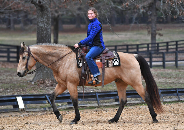 012-Flash-AQHA-Buckskin-Gelding-For-Sale