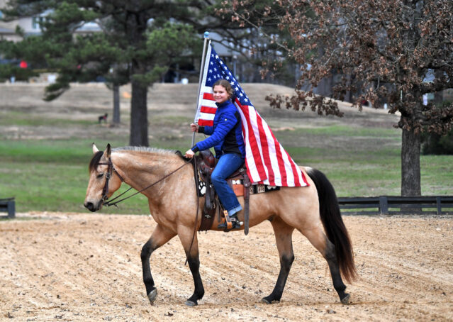 014-Flash-AQHA-Buckskin-Gelding-For-Sale