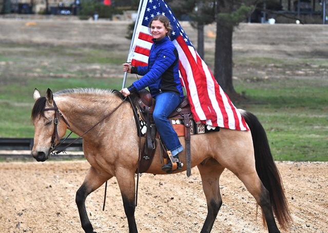 015-Flash-AQHA-Buckskin-Gelding-For-Sale