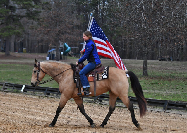 017-Flash-AQHA-Buckskin-Gelding-For-Sale