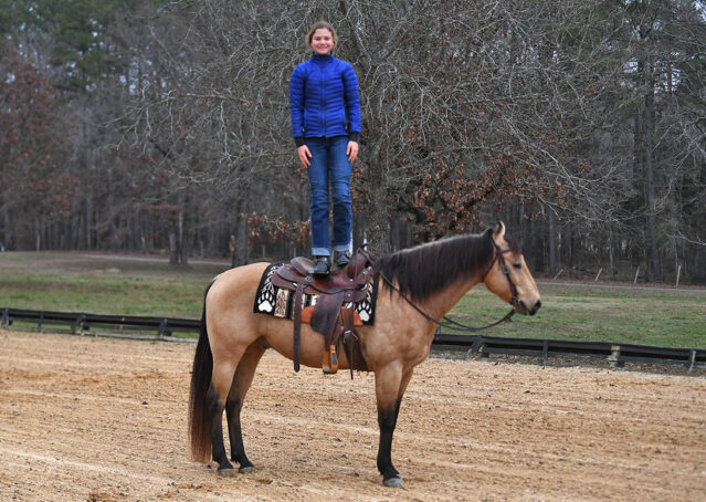 018-Flash-AQHA-Buckskin-Gelding-For-Sale