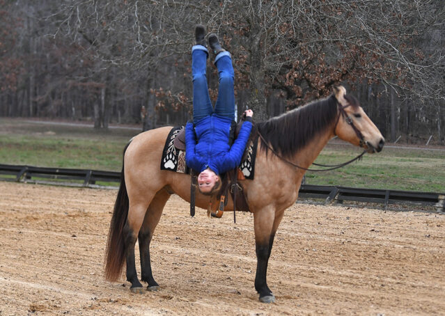 019-Flash-AQHA-Buckskin-Gelding-For-Sale