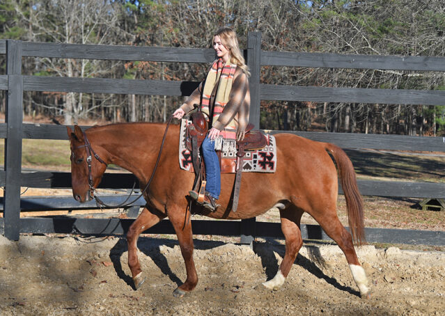 003-Madrid-AQHA-Red-Dun-Einsteins-Revolution-Reining-Ranch-Gelding-For-Sale