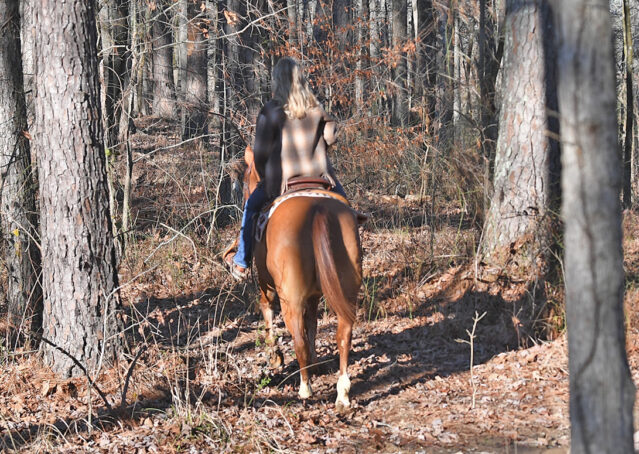 005-Madrid-AQHA-Red-Dun-Einsteins-Revolution-Reining-Ranch-Gelding-For-Sale