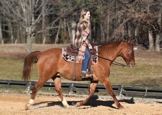 007-Madrid-AQHA-Red-Dun-Einsteins-Revolution-Reining-Ranch-Gelding-For-Sale