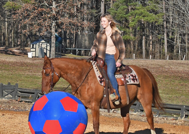 008-Madrid-AQHA-Red-Dun-Einsteins-Revolution-Reining-Ranch-Gelding-For-Sale