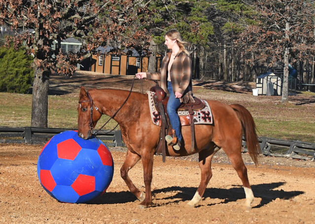 009-Madrid-AQHA-Red-Dun-Einsteins-Revolution-Reining-Ranch-Gelding-For-Sale