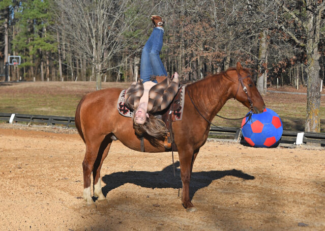014-Madrid-AQHA-Red-Dun-Einsteins-Revolution-Reining-Ranch-Gelding-For-Sale