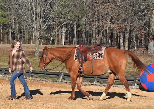 015-Madrid-AQHA-Red-Dun-Einsteins-Revolution-Reining-Ranch-Gelding-For-Sale