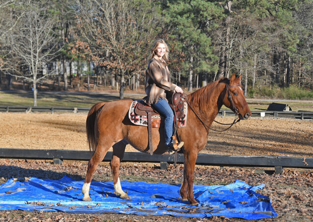 017-Madrid-AQHA-Red-Dun-Einsteins-Revolution-Reining-Ranch-Gelding-For-Sale