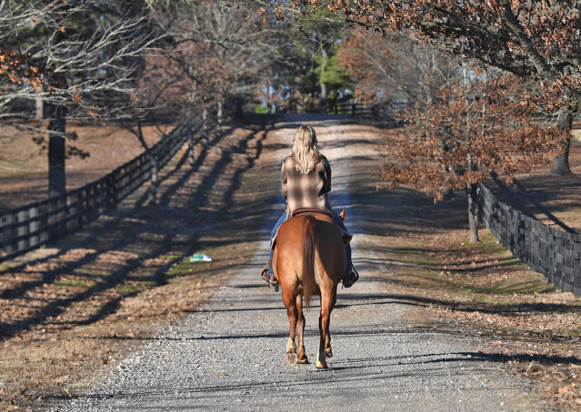 018-Madrid-AQHA-Red-Dun-Einsteins-Revolution-Reining-Ranch-Gelding-For-Sale