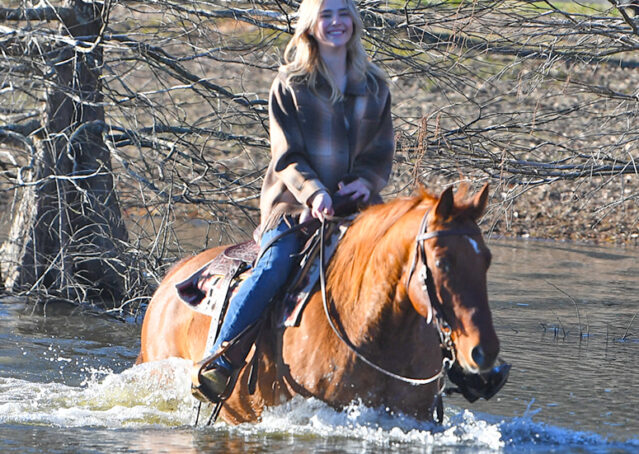 021-Madrid-AQHA-Red-Dun-Einsteins-Revolution-Reining-Ranch-Gelding-For-Sale