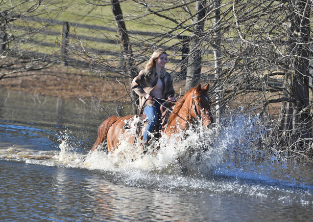 023-Madrid-AQHA-Red-Dun-Einsteins-Revolution-Reining-Ranch-Gelding-For-Sale