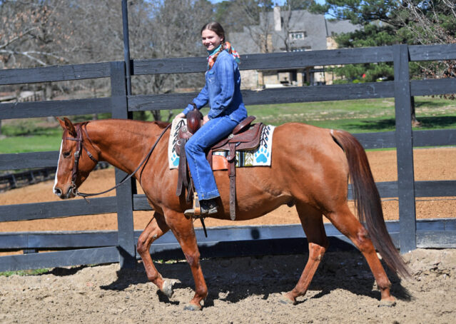 009-Browsin-AQHA-Red-Dun-Gelding-For-Sale